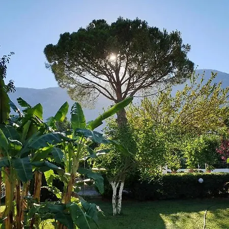Hotell Gokcen Öludeniz