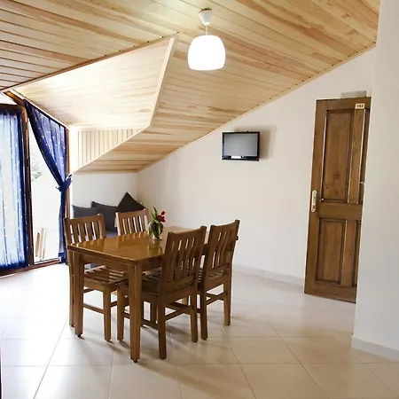 Gokcen Appartement *