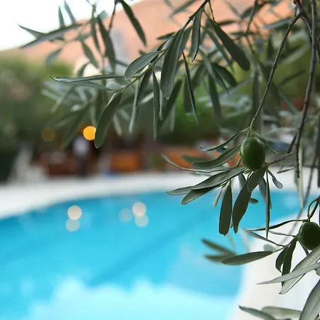 Gokcen Hotell Öludeniz