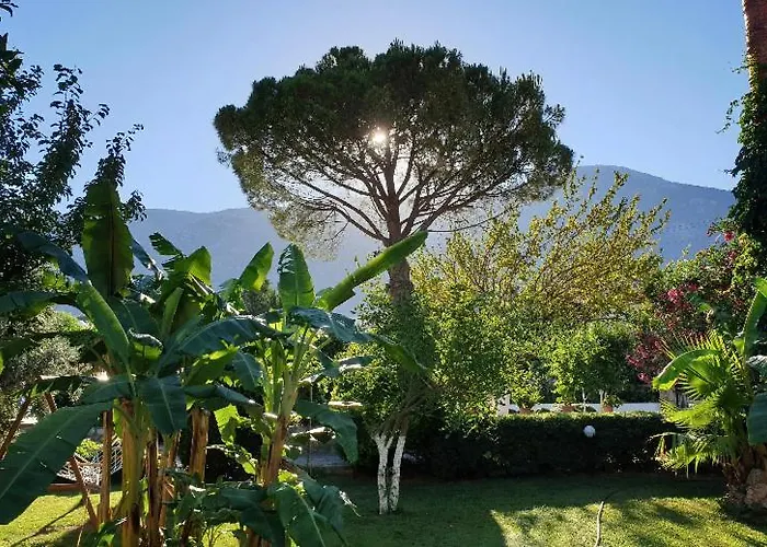 Lejlighed Gokcen Ölüdeniz