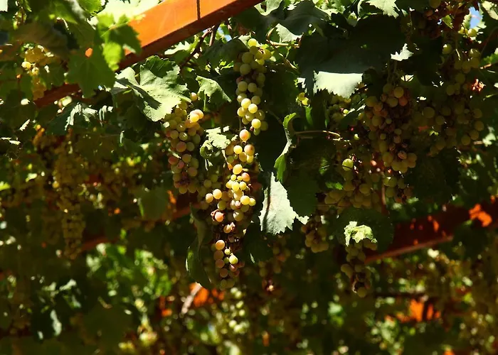 Apartment Gokcen Oludeniz