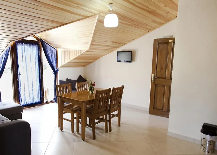 Gokcen Appartement *