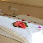 Gokcen 厄吕代尼兹