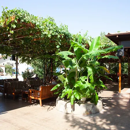 아파트 Gokcen 올루데니스