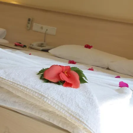 Gokcen 올루데니스